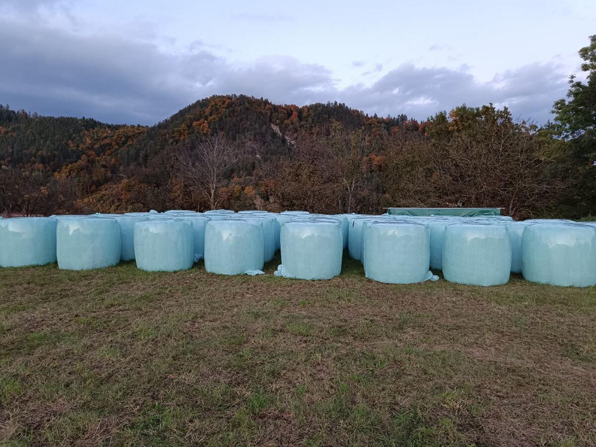 Grassilageballen 1