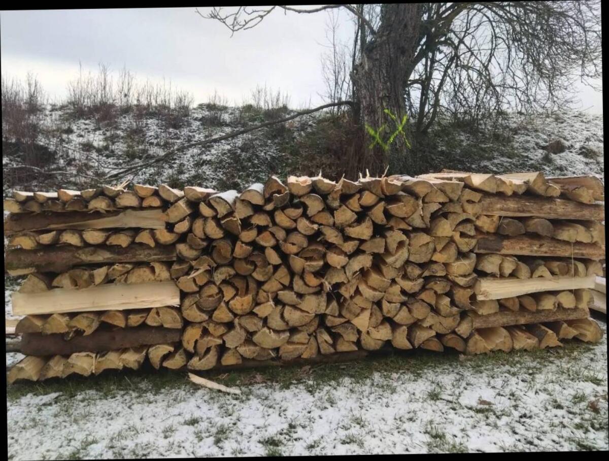 Brennholz 2