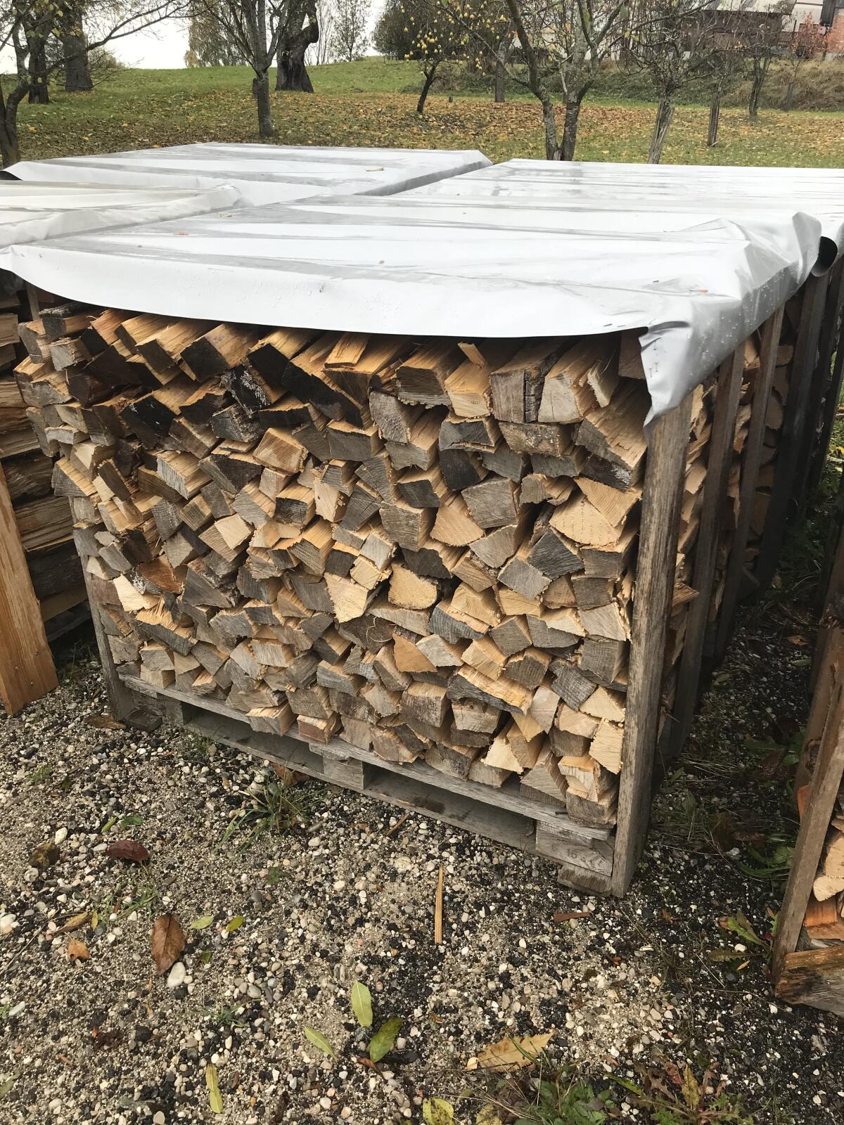 Brennholz hart 1