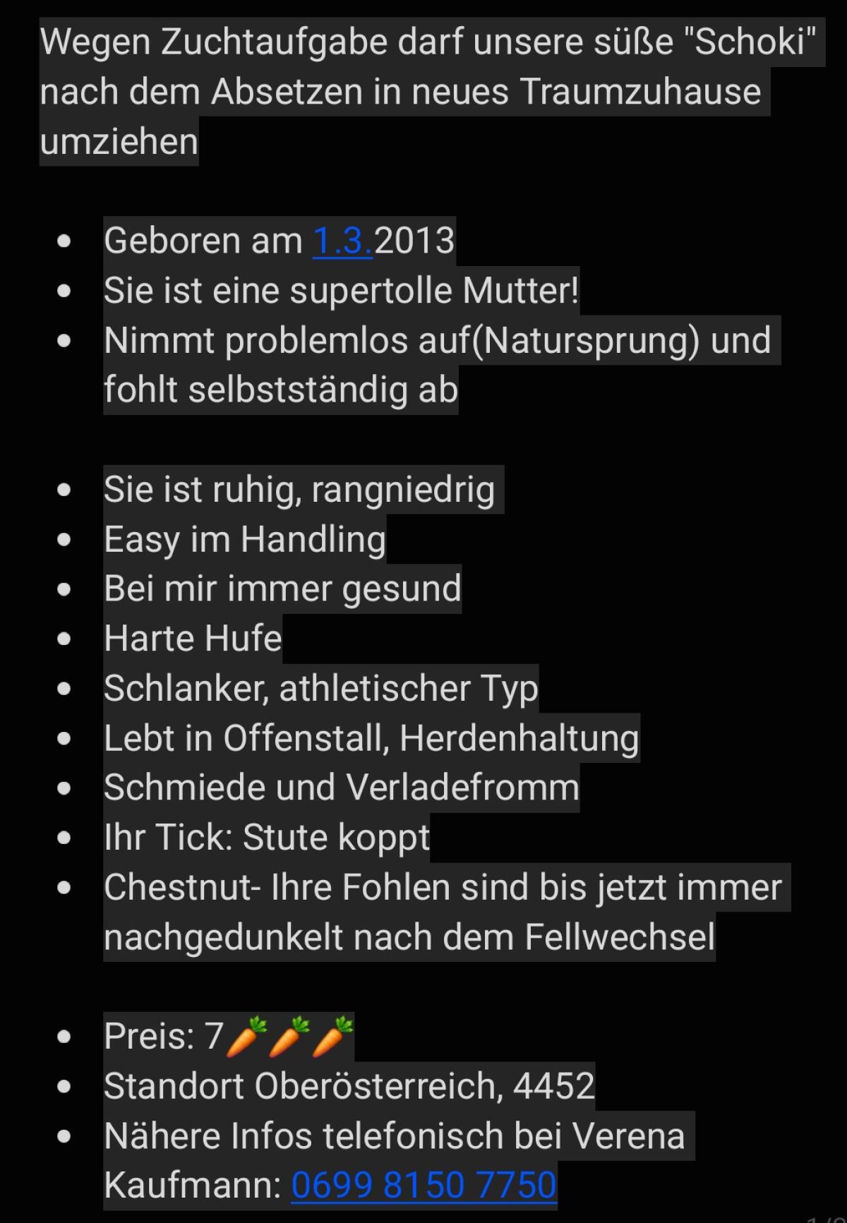 Quarter Horse Zuchtstute 3