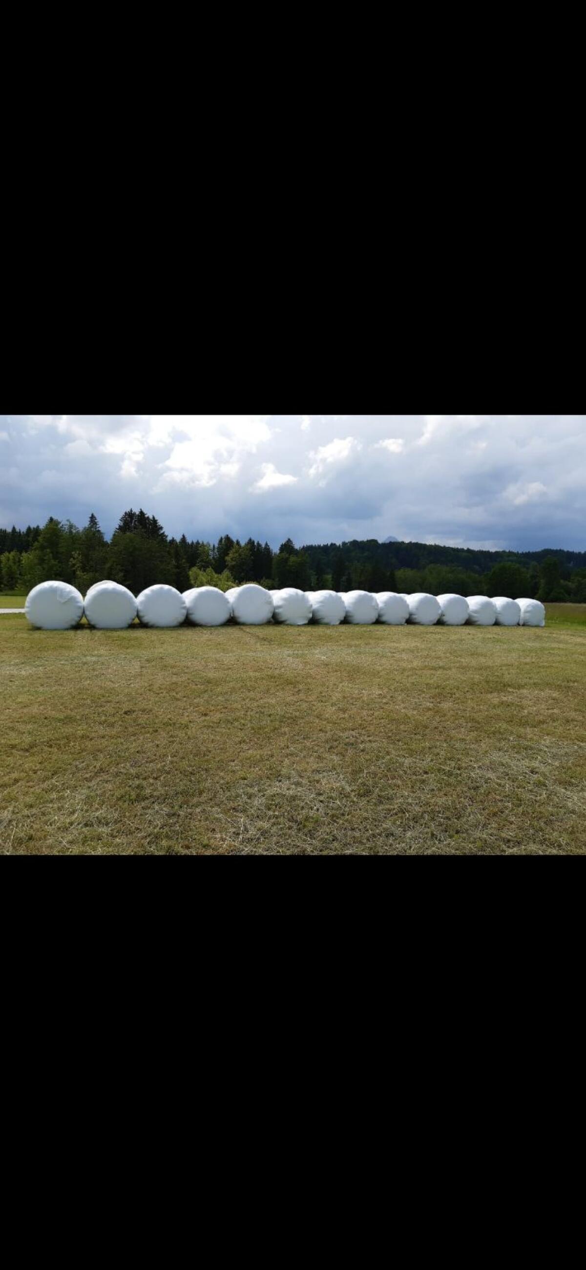 Siloballen 1. bis 3. Schnitt 1