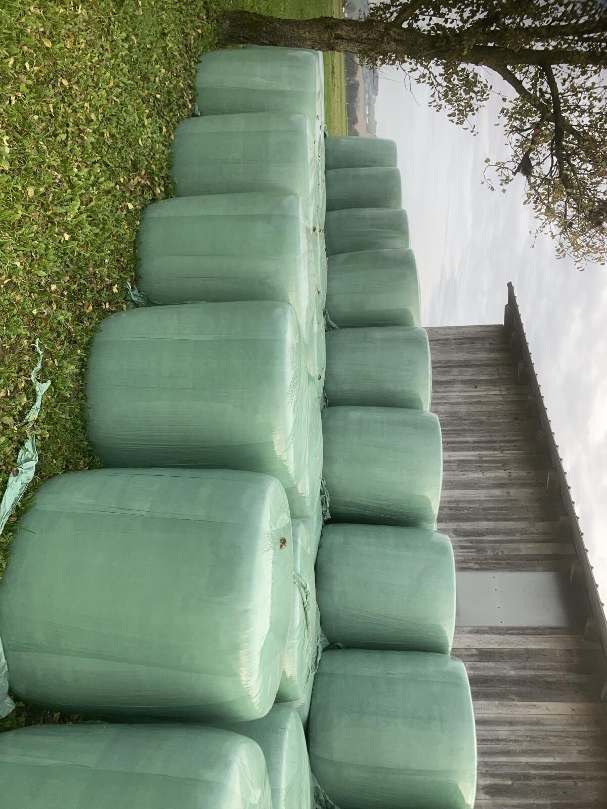 Maissilageballen 1