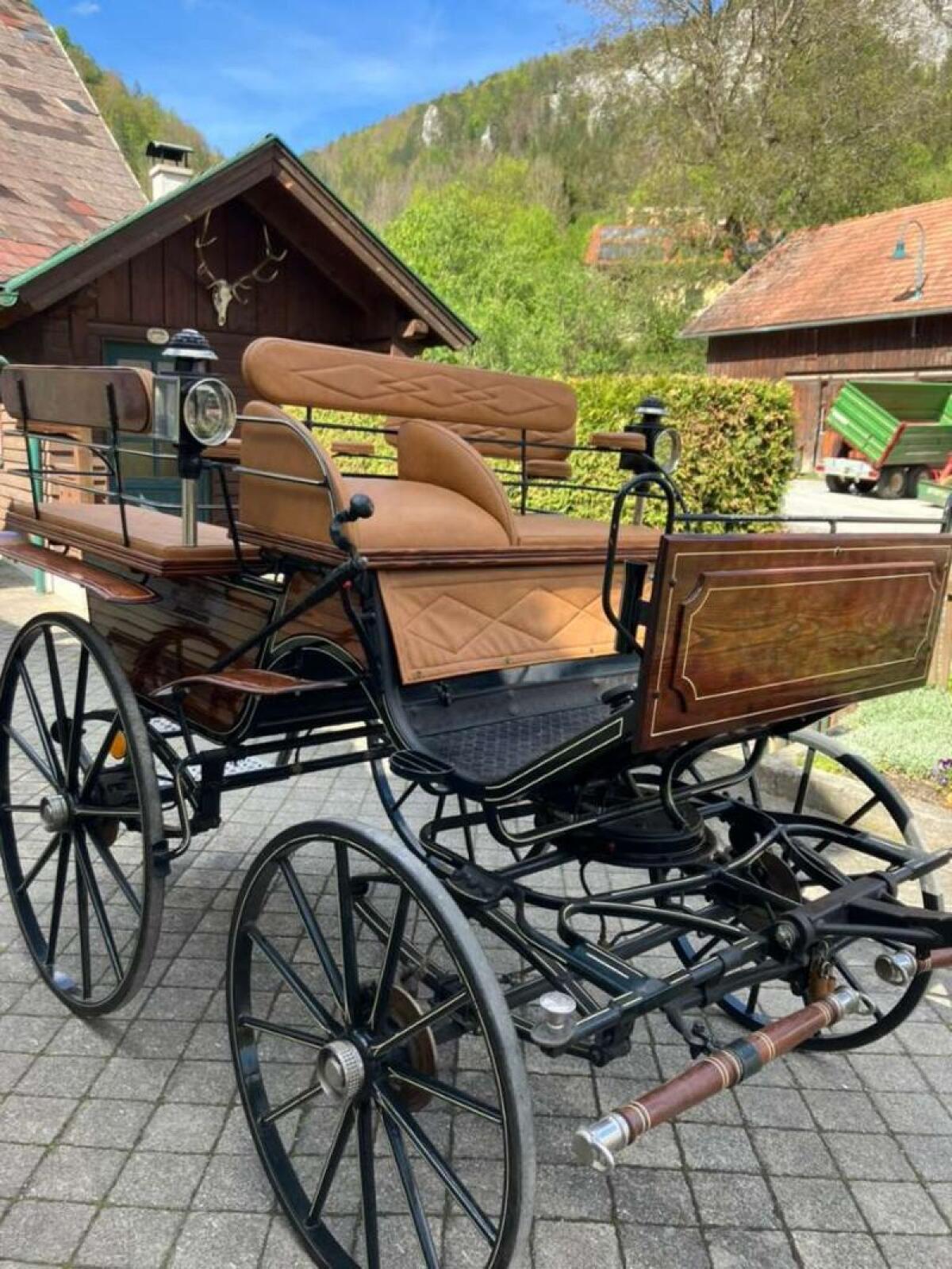 Schlagbauer Kutsche 2