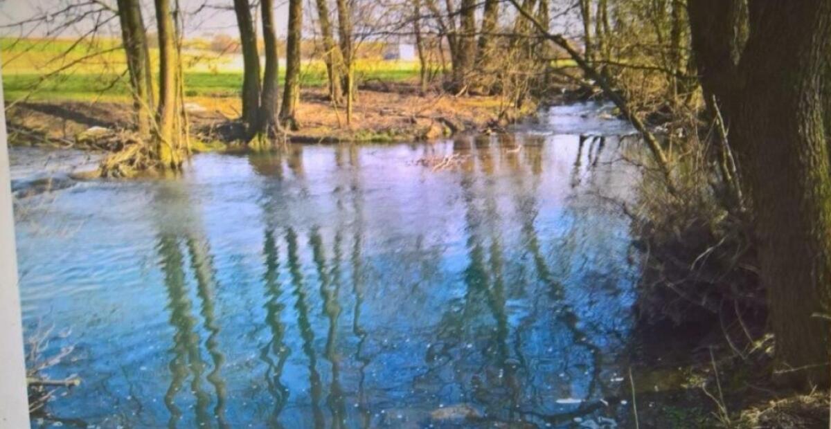 Fischrecht im Fluss mit See zu verkaufen, 2-armig, Salmoniden 3