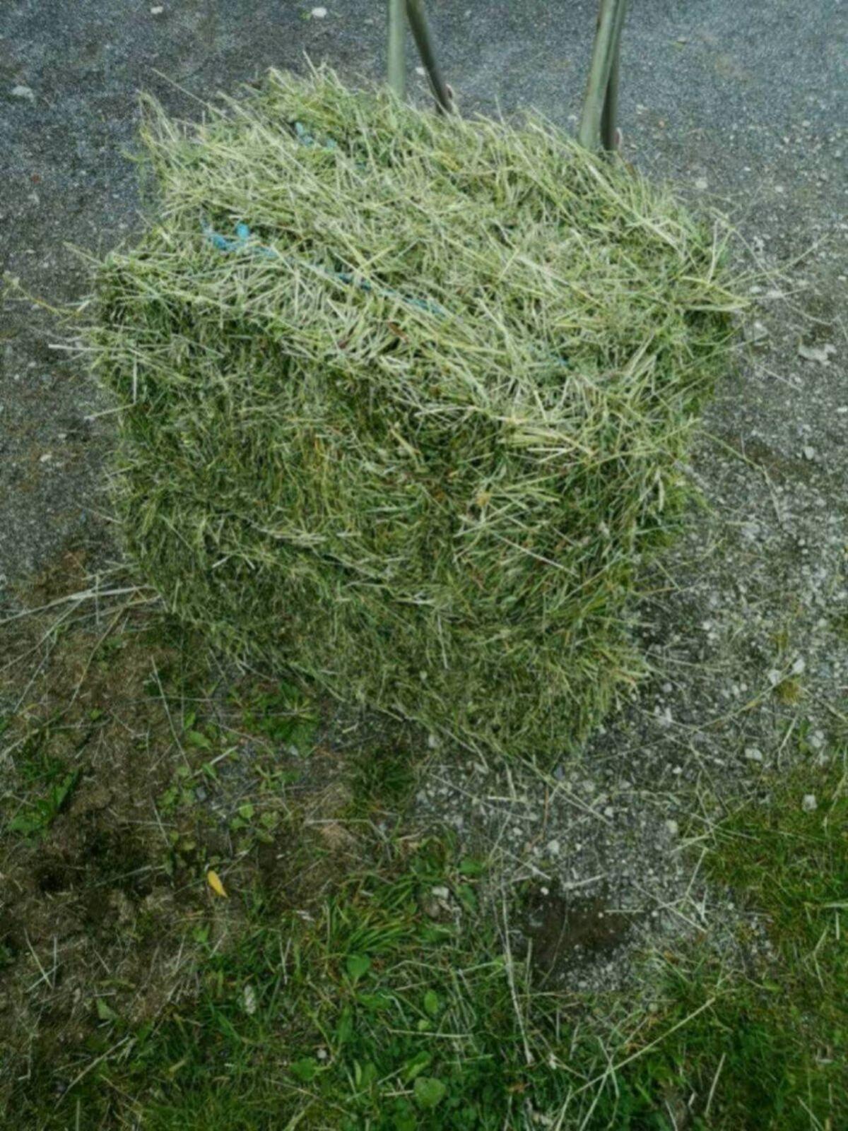 Kleinballen 2025 3