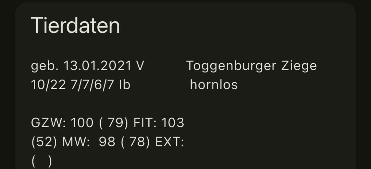 Verkaufe Toggenburger Bock 1