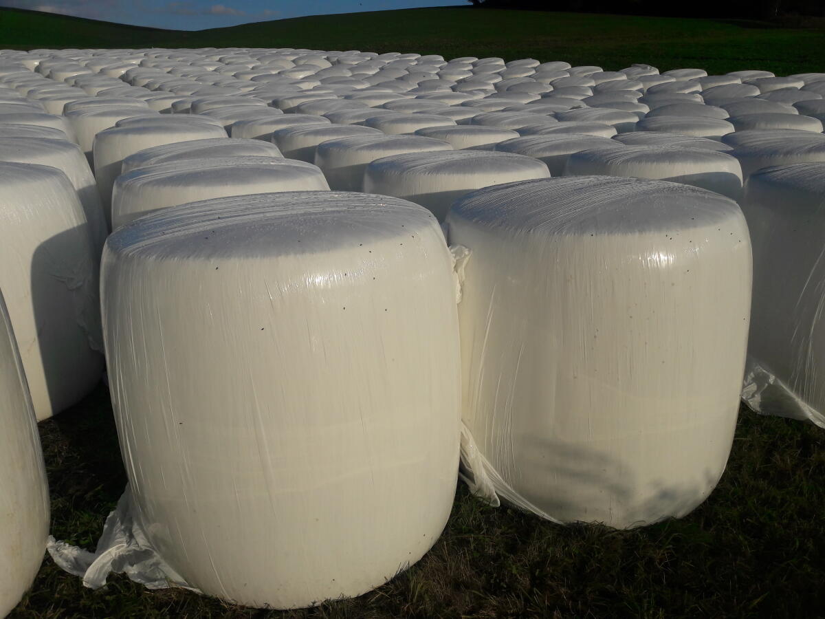 Top Maissilageballen 3