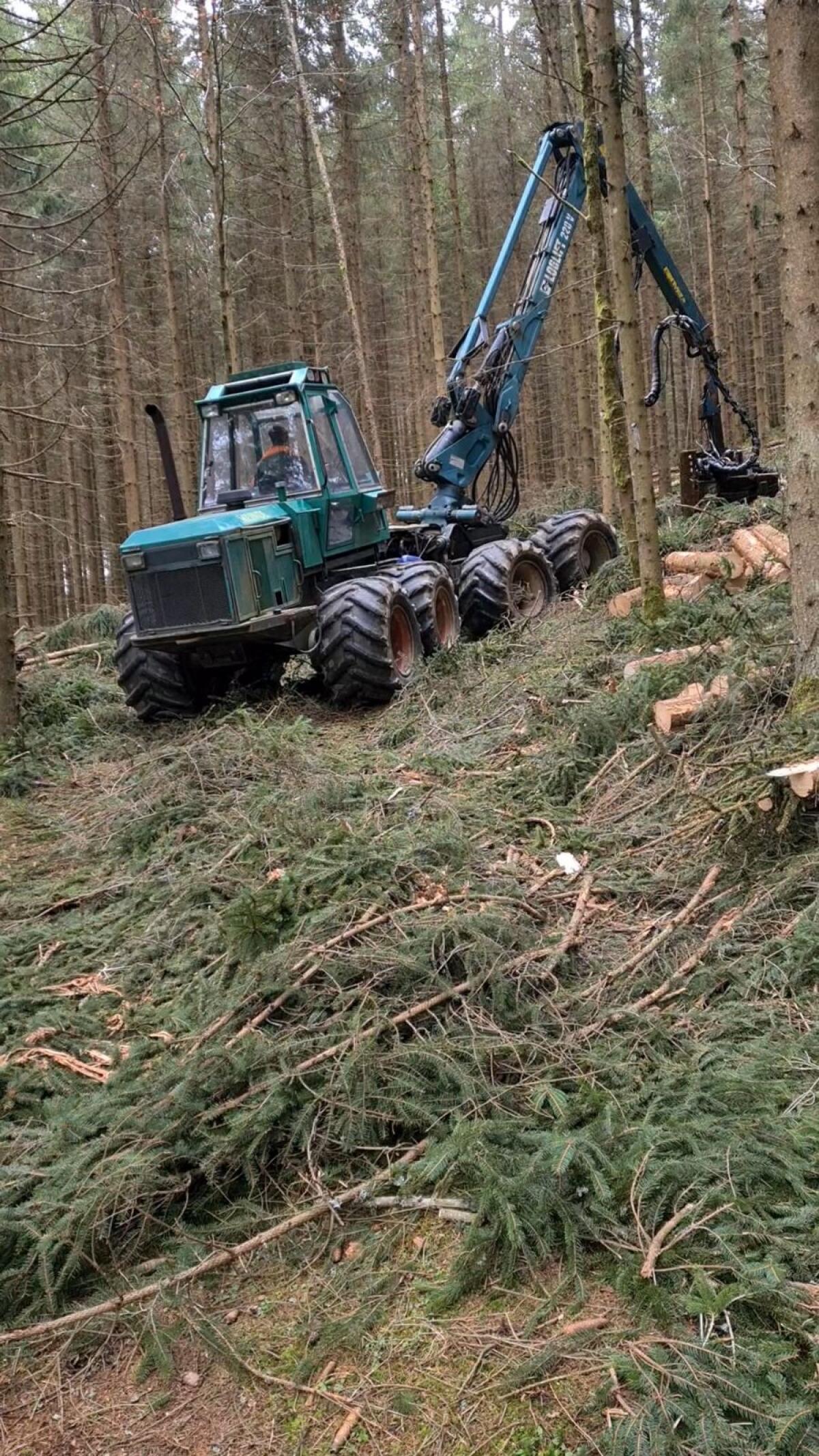 Forstdienstleistungen 3