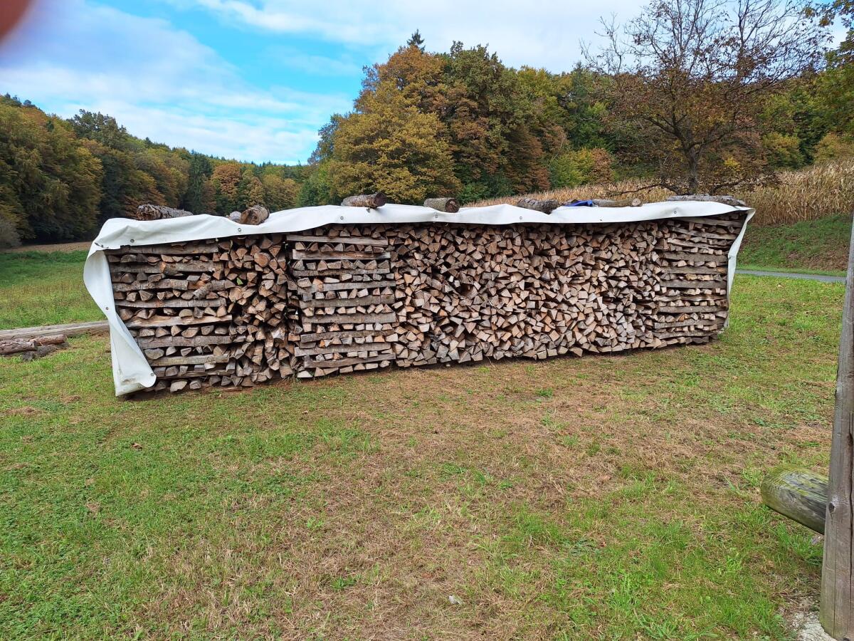 Brennholz Buche 1
