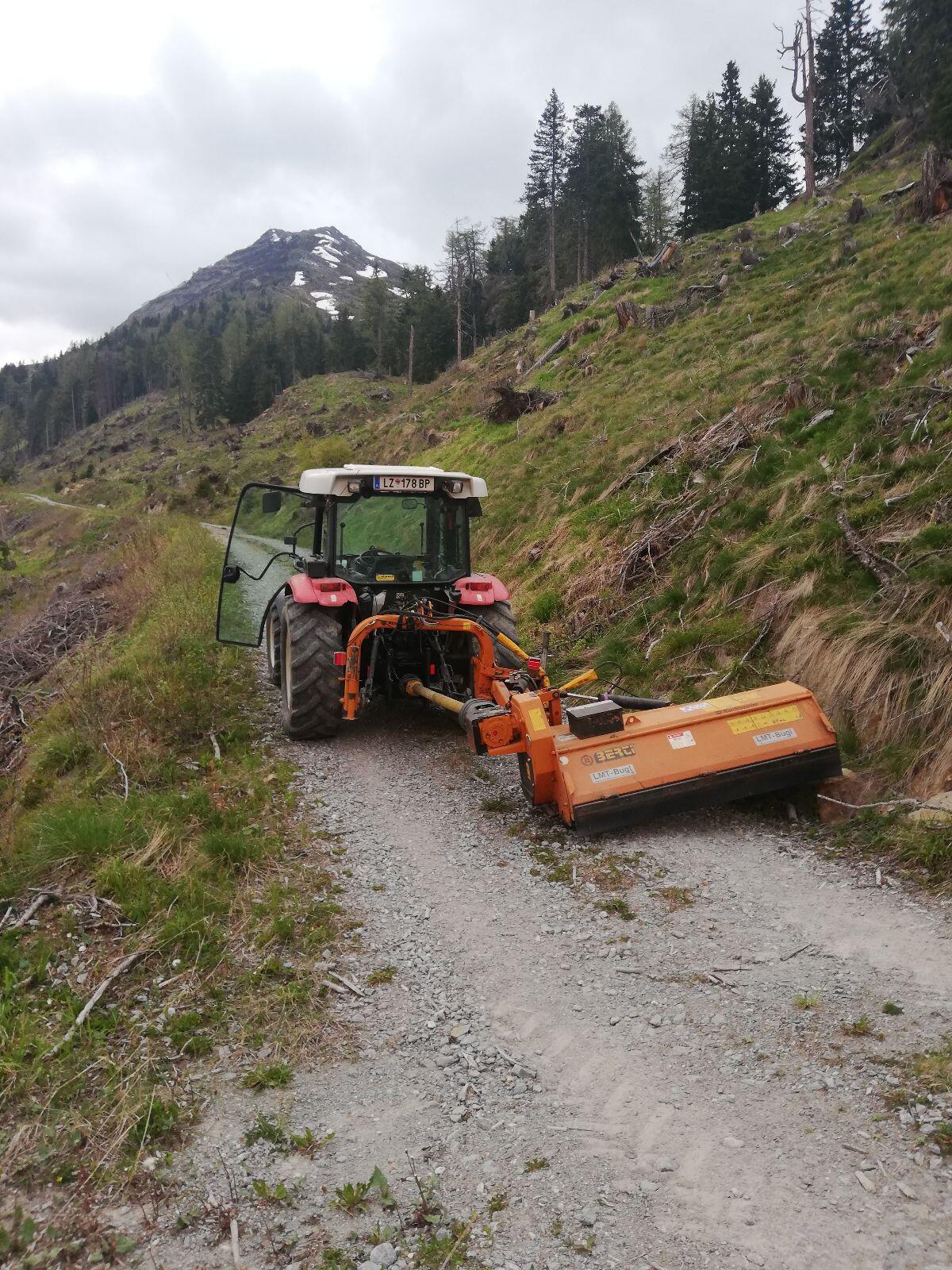 Mulchen mit Traktormulcher 2