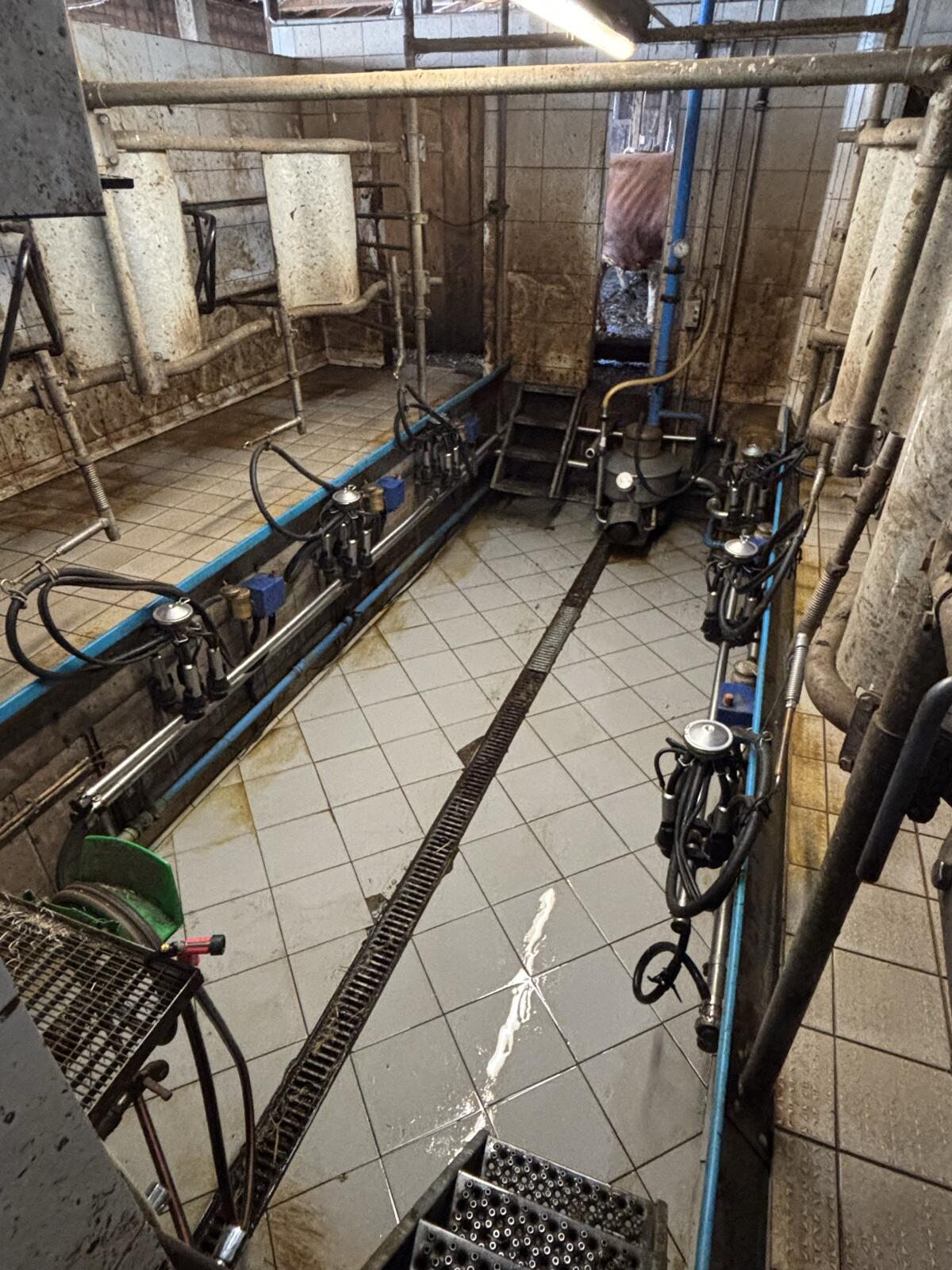 Melkstand Alfa Laval Fischgrät 2x3 2