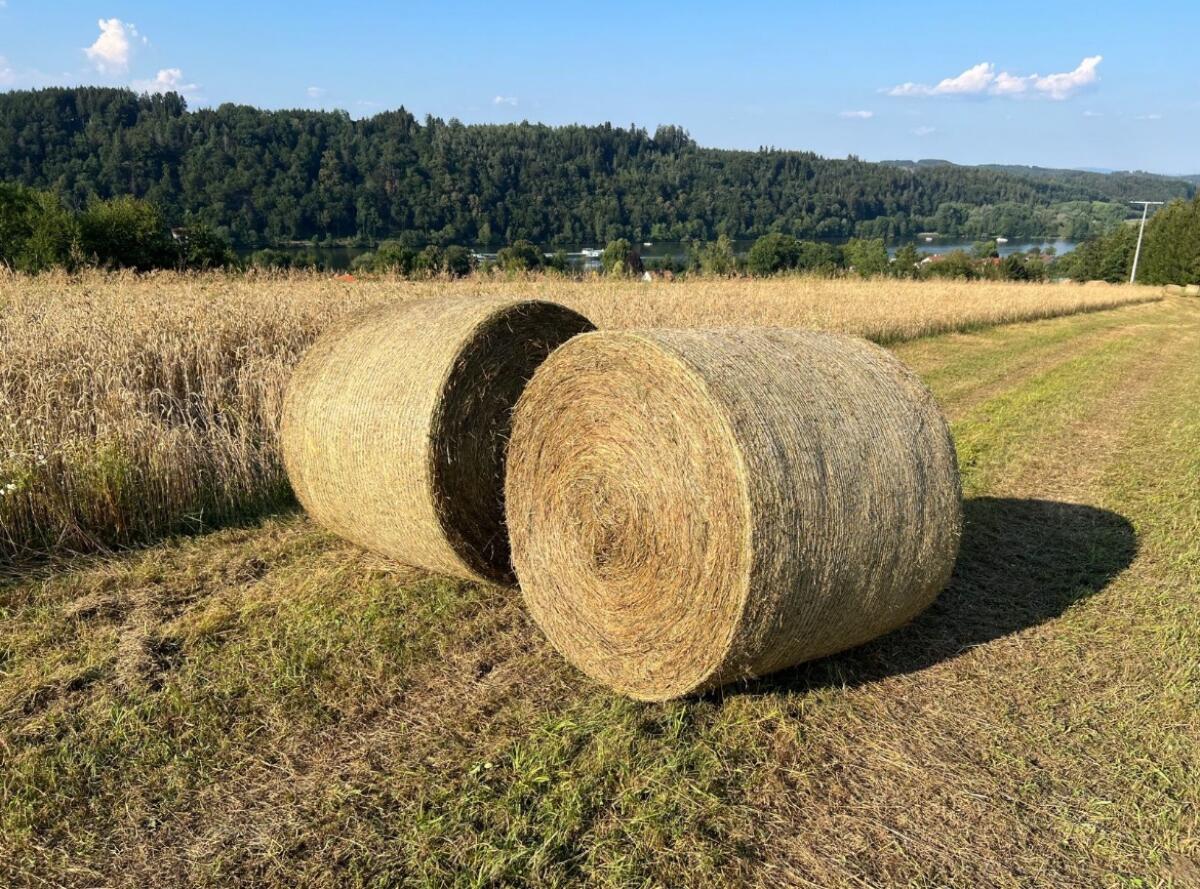 Heu Heuballen Bio Rundballen 1. Schnitt 2025 2