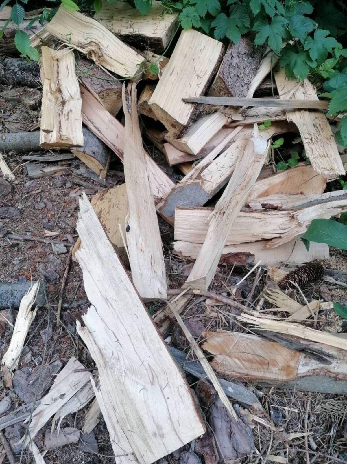 Brennholz hart/weich 2