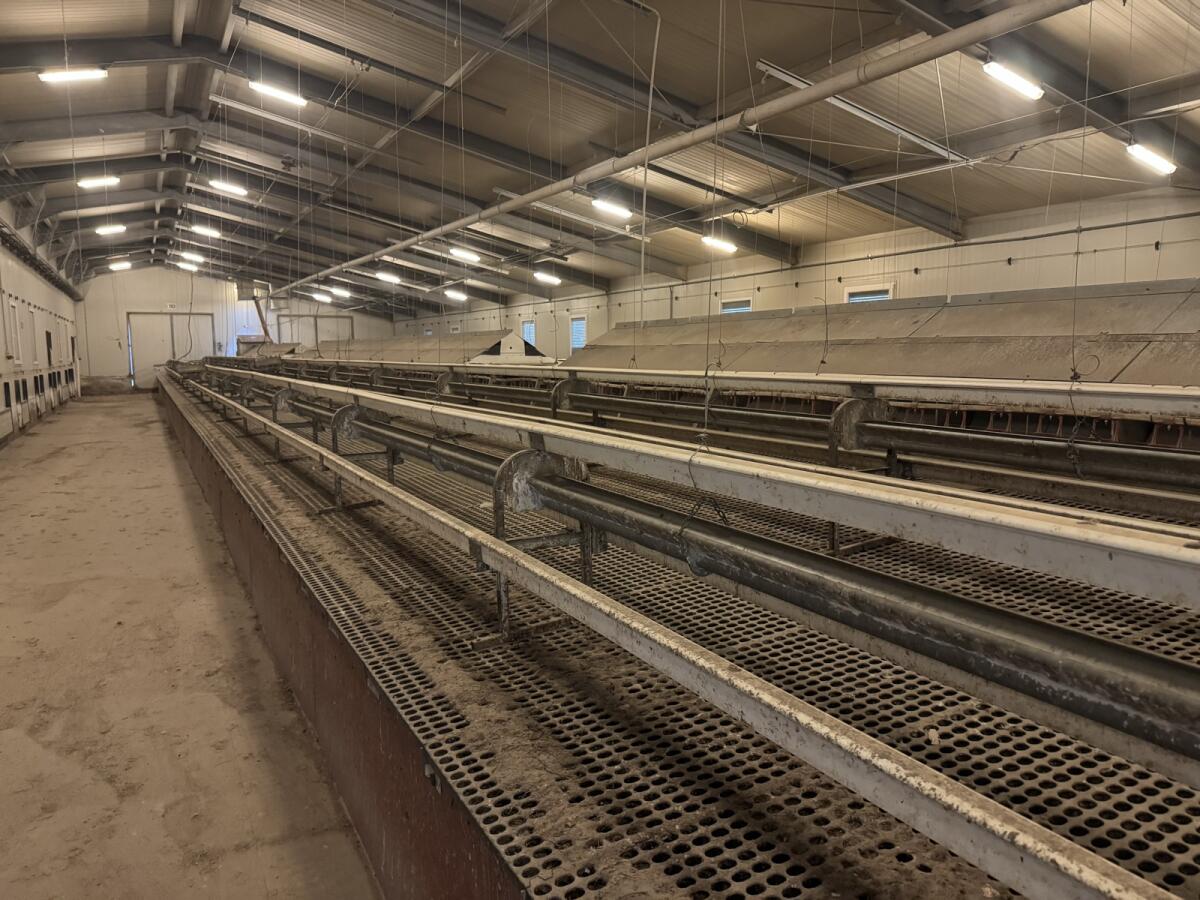 Legehennen-Stalleinrichtung 2