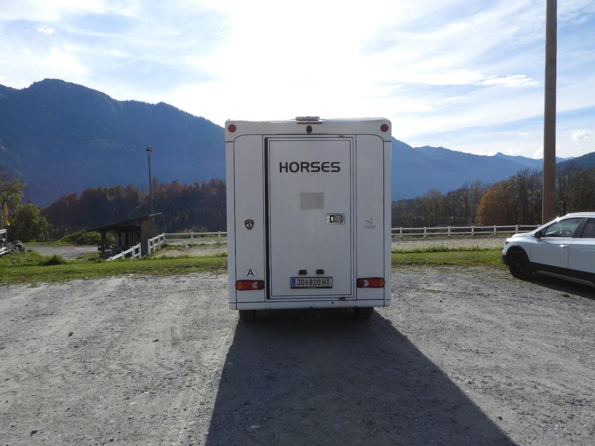 Pferdetransporter Paragan Equistar 3XL (Opel Movano) 2