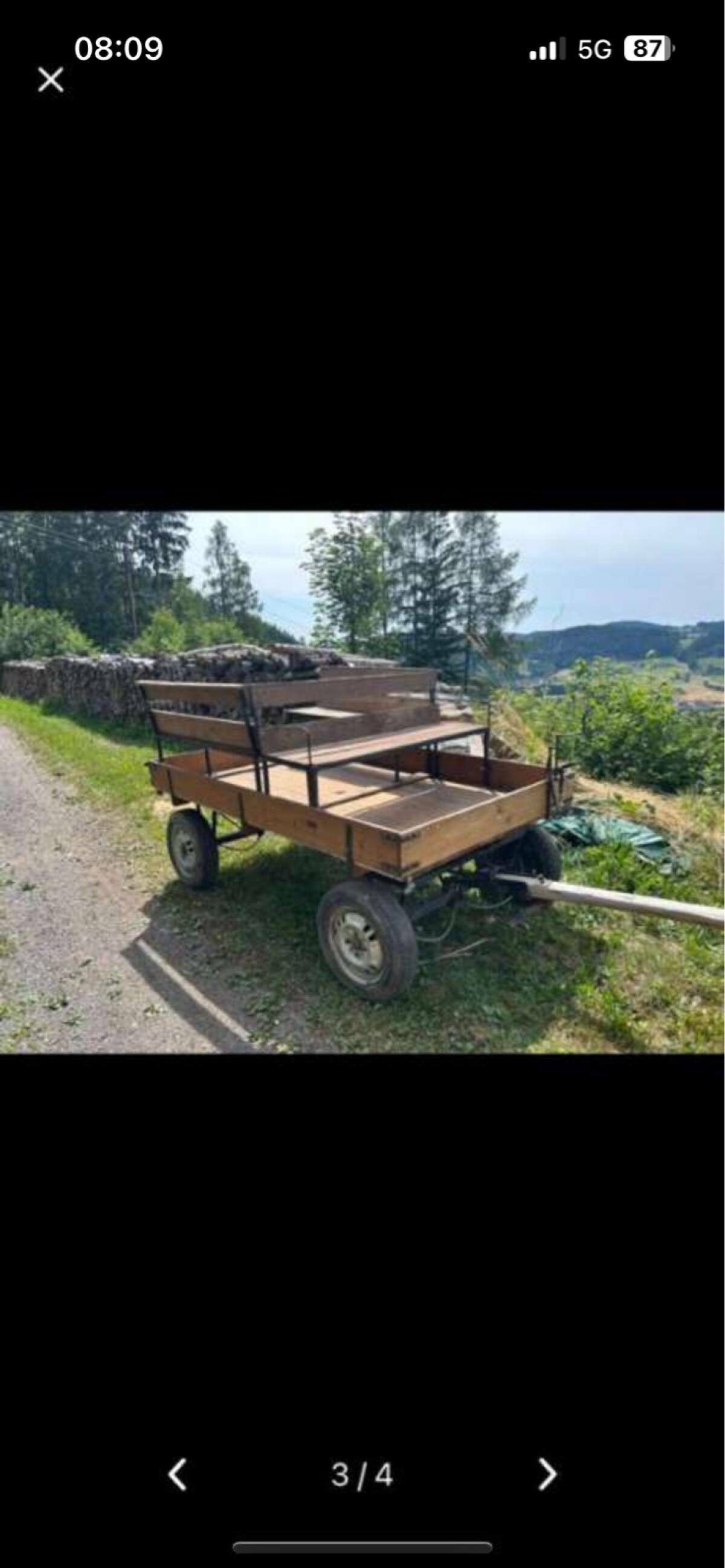 Pferdekutsche 2
