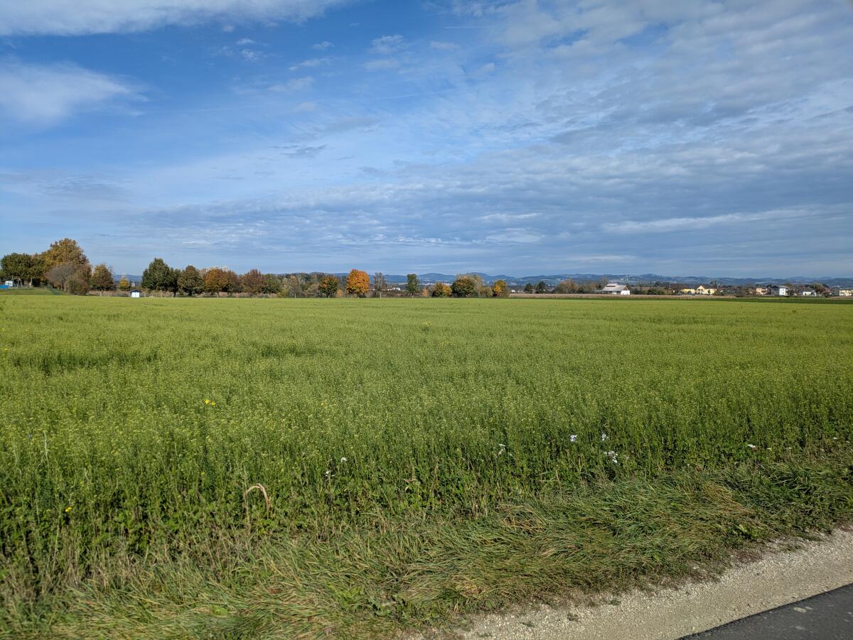 Verkaufe Acker, landwirtschaftliche Nutzfläche 1