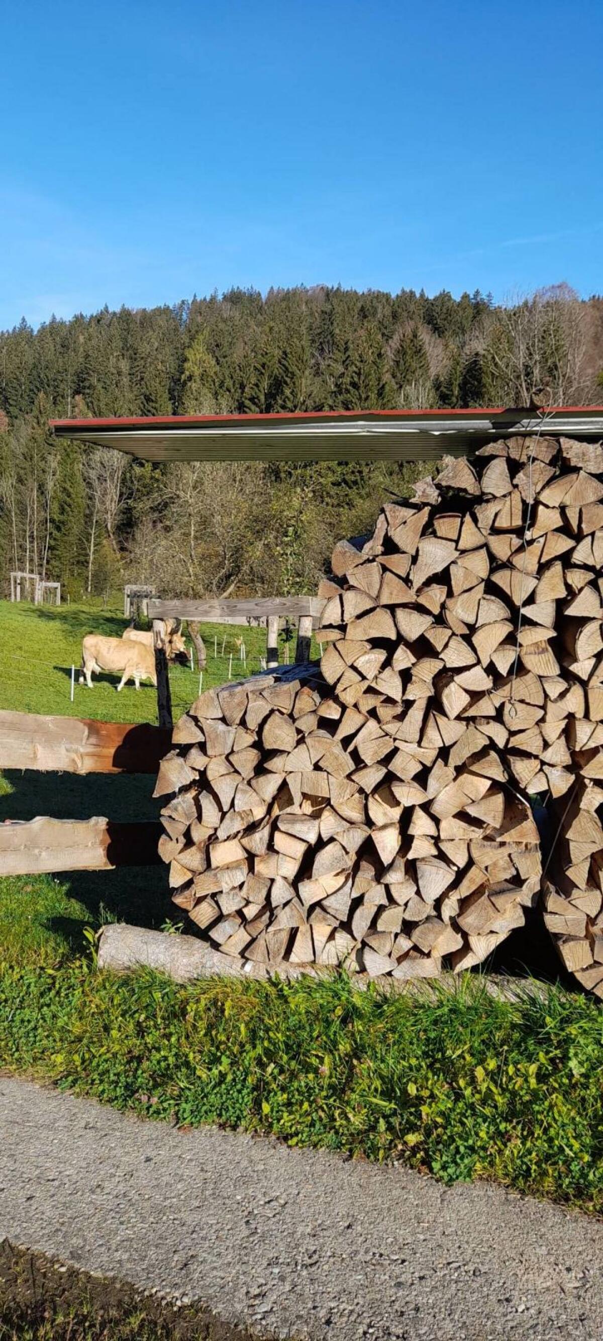 Brennholz, gemischt, trocken 3