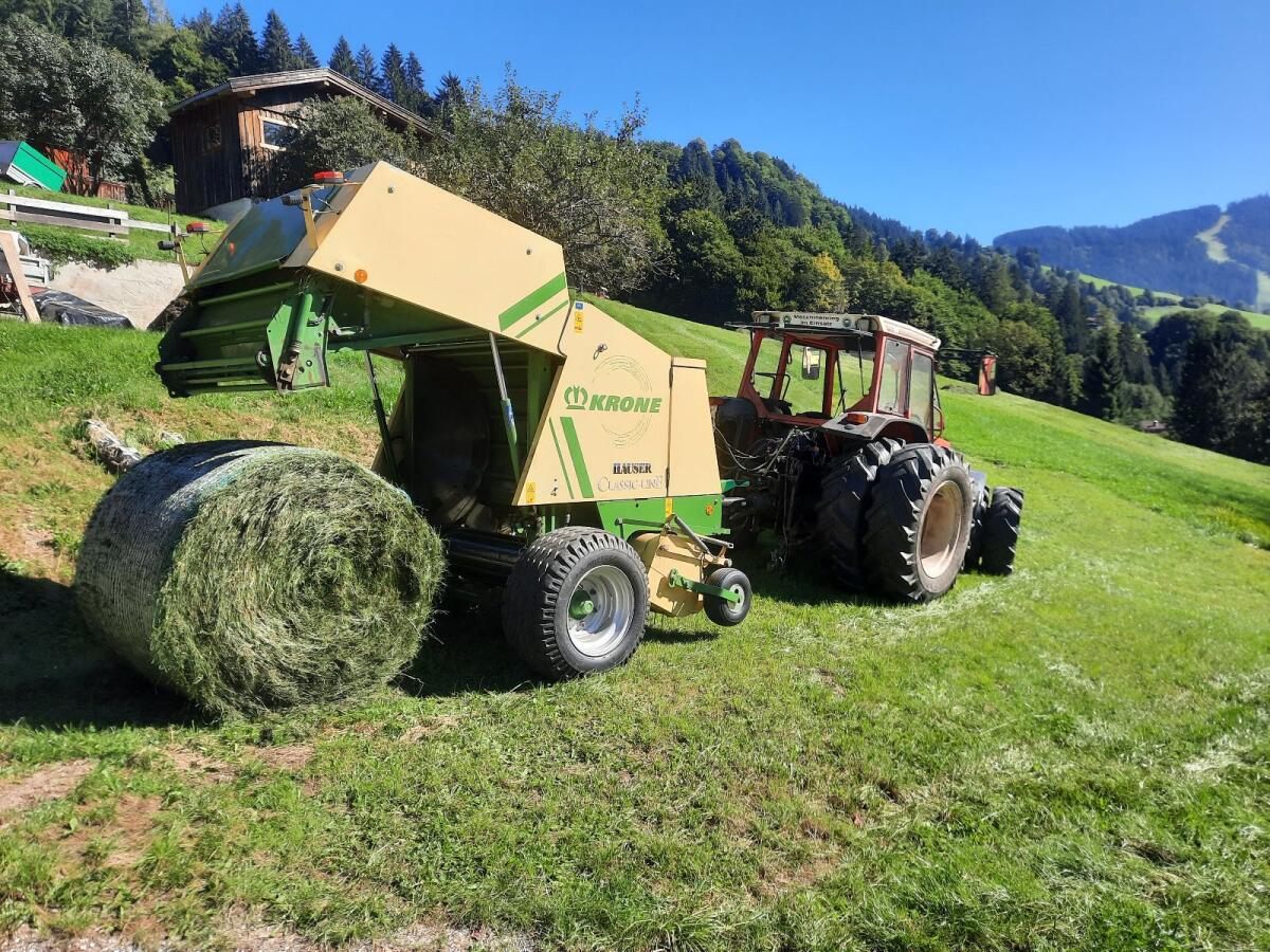 Siloballen, 3. Schnitt 2