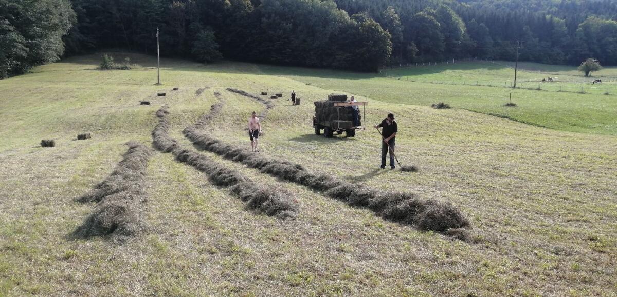 Heuballen Grummet Kleinballen 2