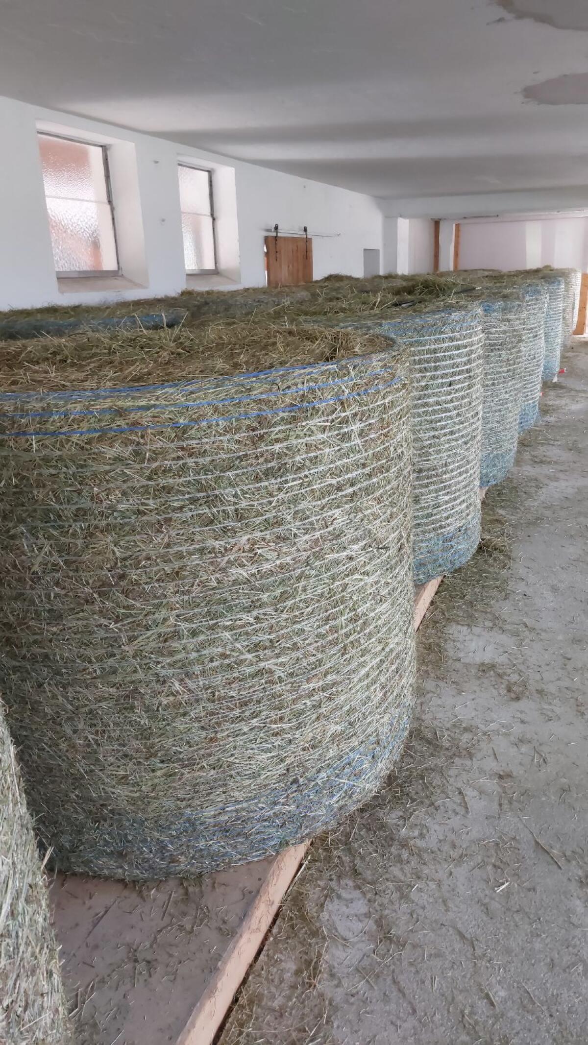 Verkaufe belüftete Heurundballen 2