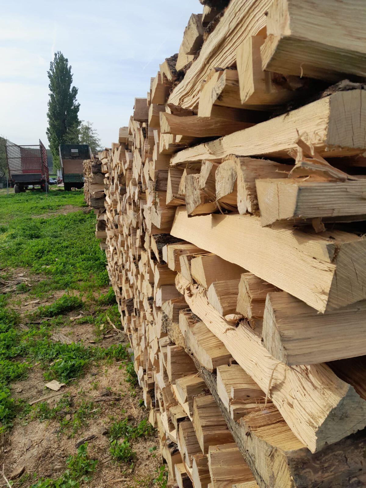 Scheitholz Esche 2