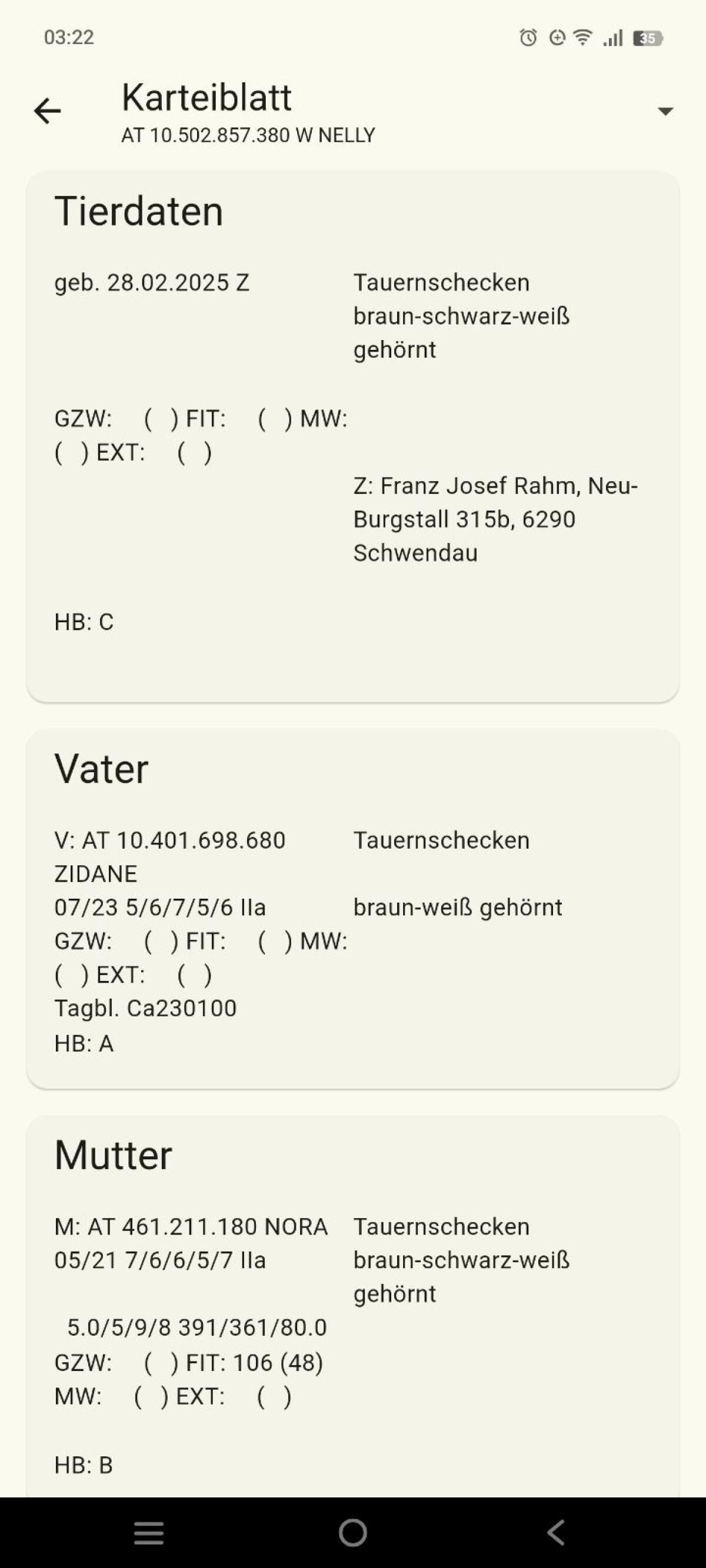 Tauernscheckenziege 3