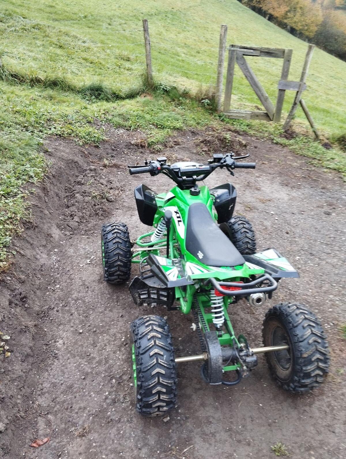 Quad/Kinderquad XTL Mars 125cc 3