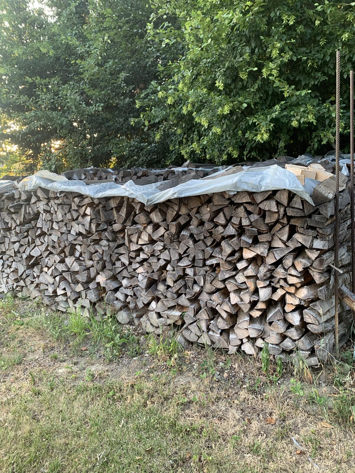 Brennholz Buche, Fichte 1