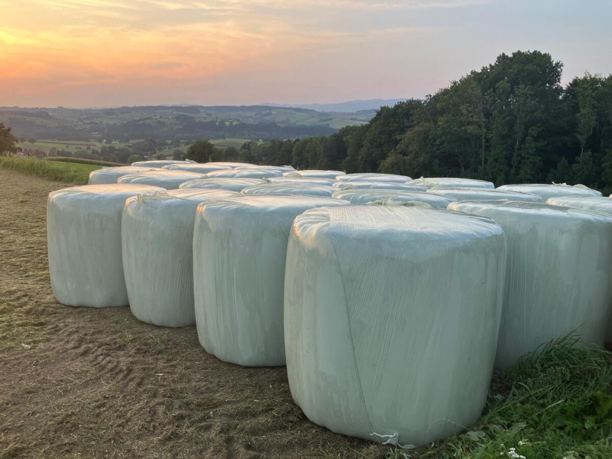 Silageballen 2