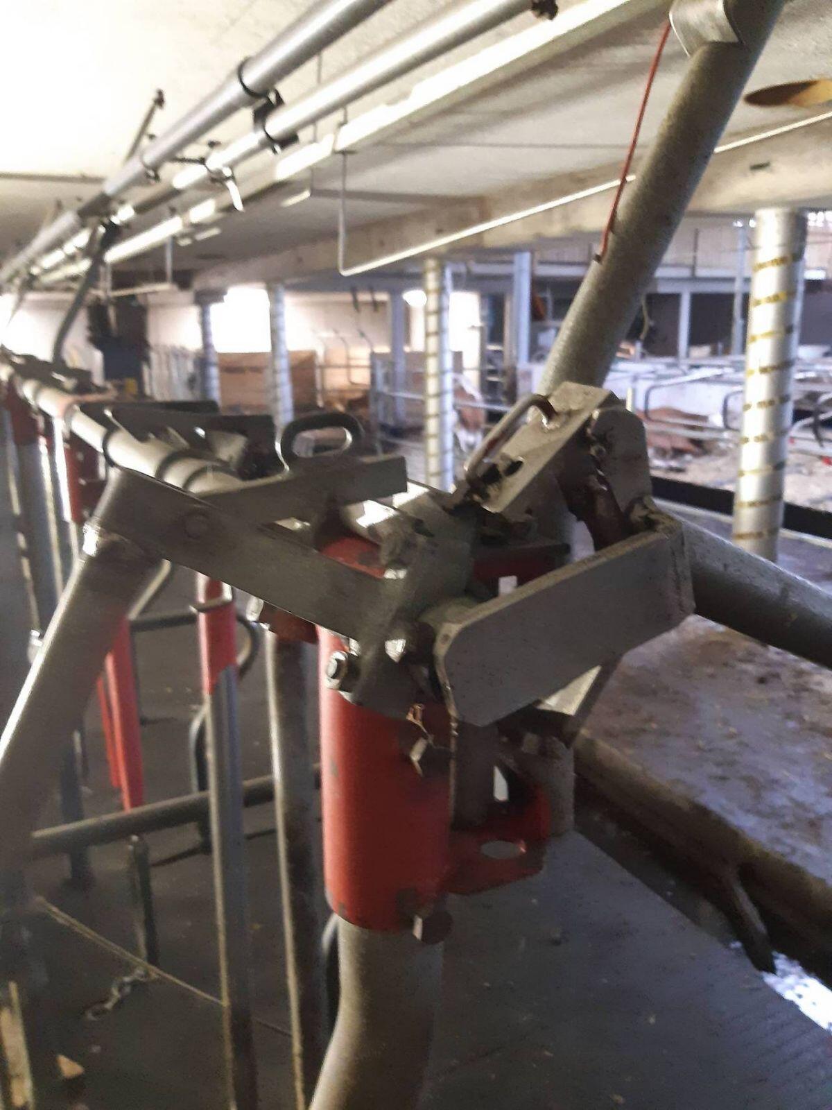 Verkaufe Schauer Selbstfang Halsrahmen Aufstallung 3
