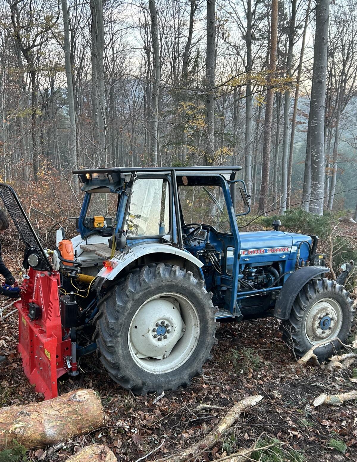 Holzschlägerung, Durchforstung, Windbruch 3