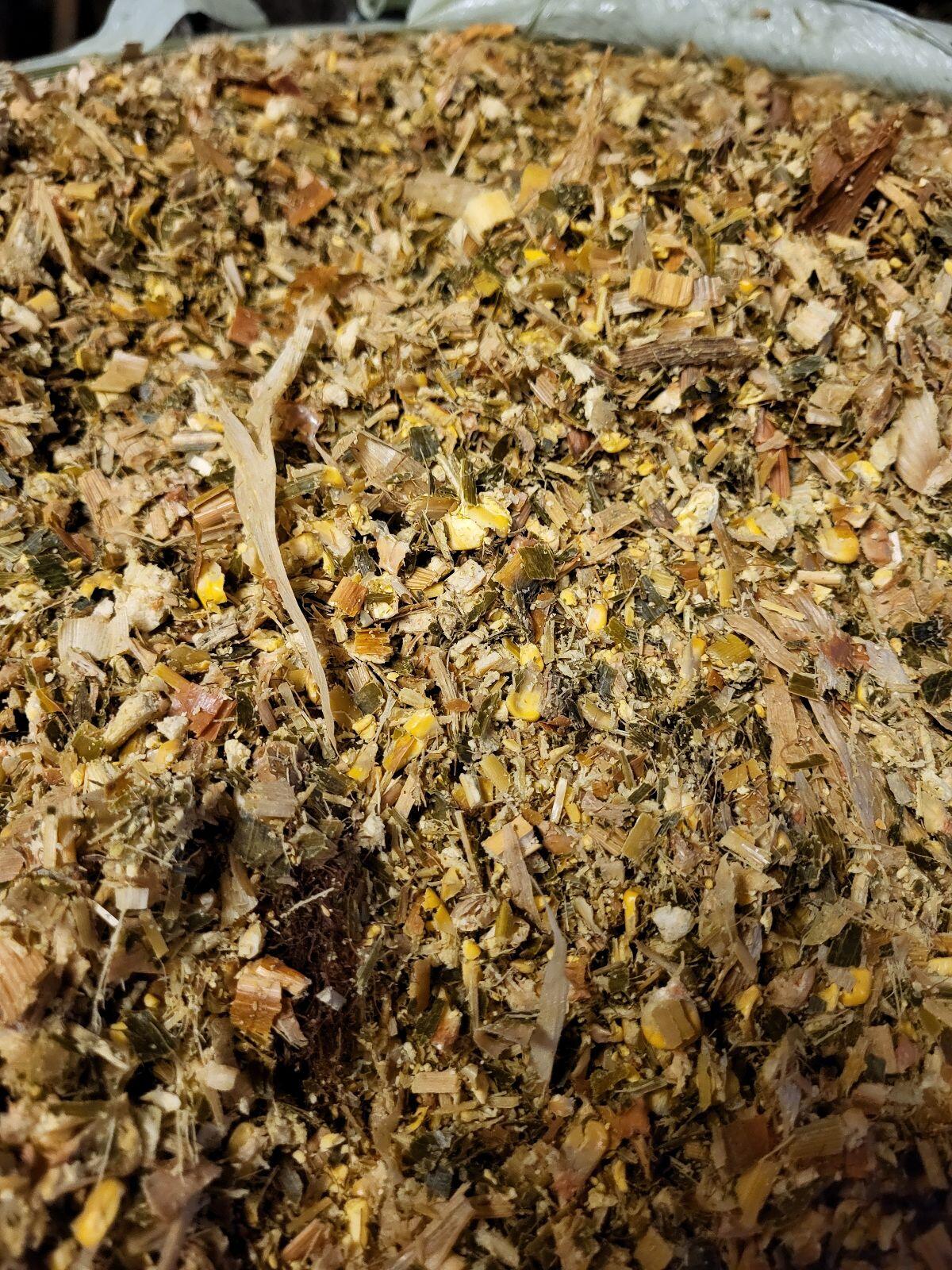 Maissilageballen 3