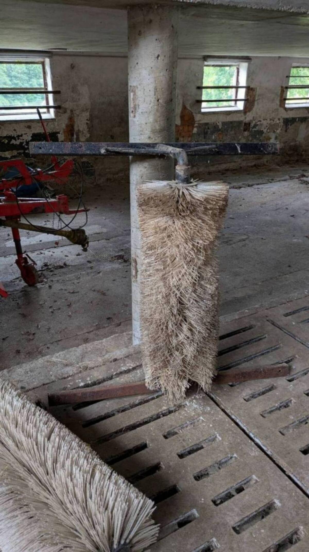 Fressgitter, Abtrennung, Kratzbürsten 3