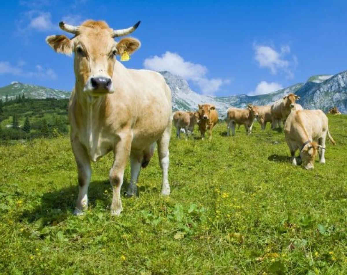 Keine Hofnachfolge? Familie sucht Hof zur Weiterführung 1