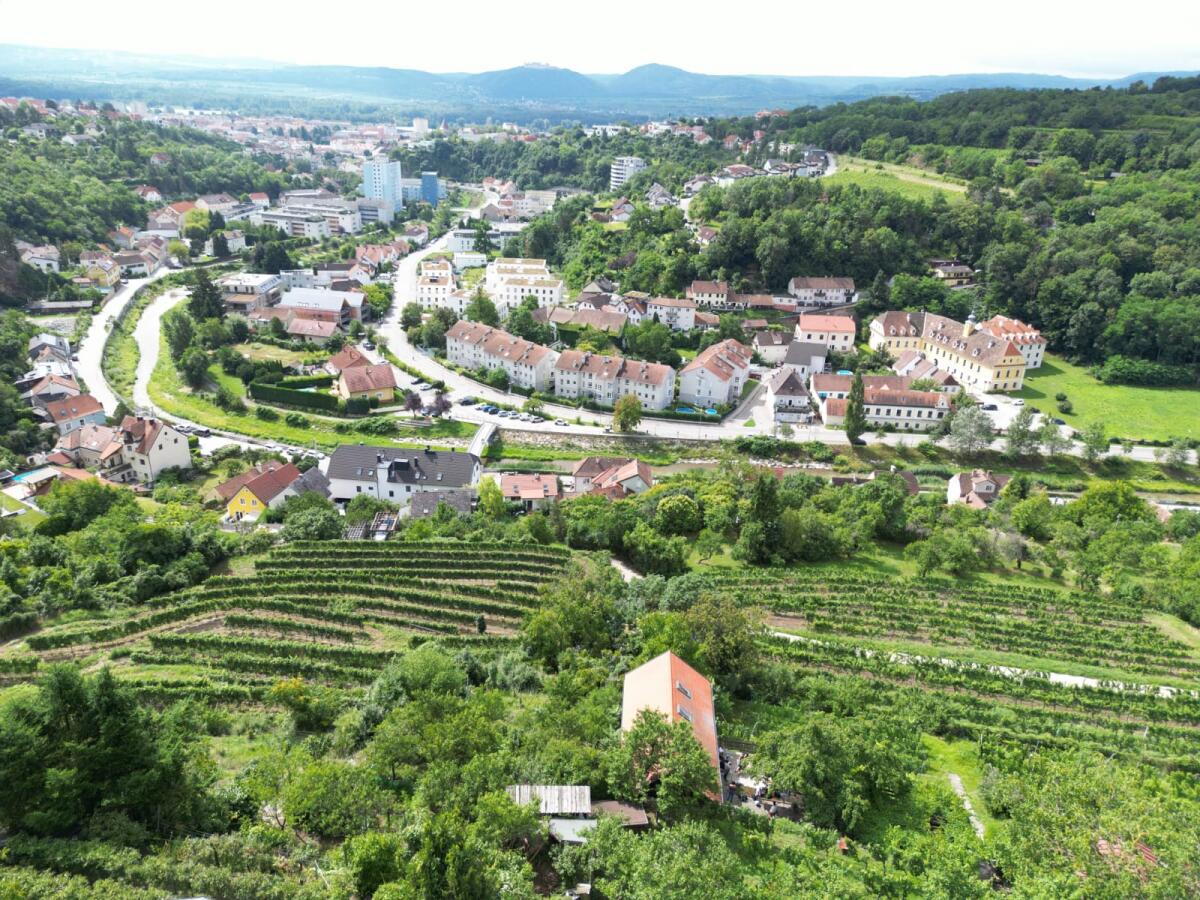 Weingarten/Freizeitgrund im Kremser Stadtgebiet! 2