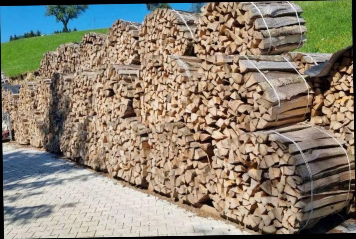 Brennholz frisch 2