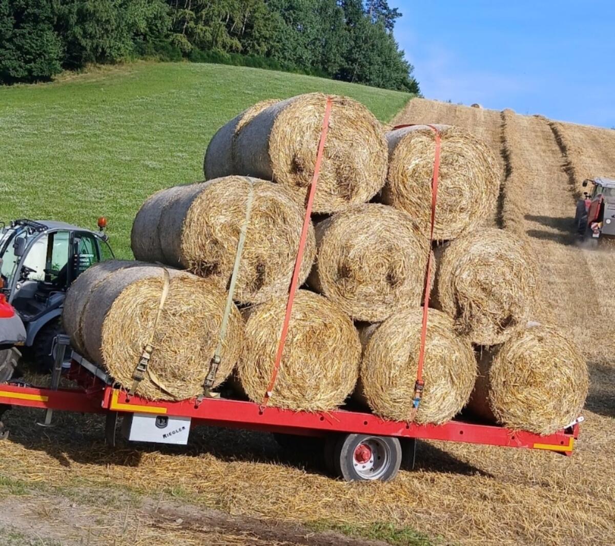 Tieflader/Mehrzweckanhänger 3