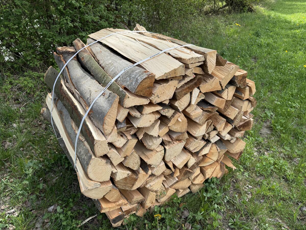 Brennholz Buche oder Fichte 3