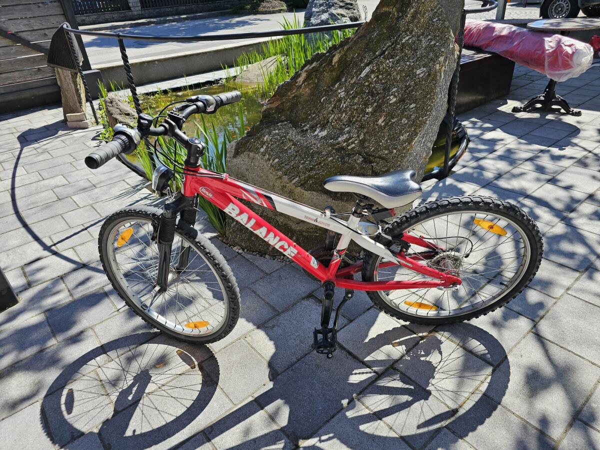 Fahrrad 24" 3