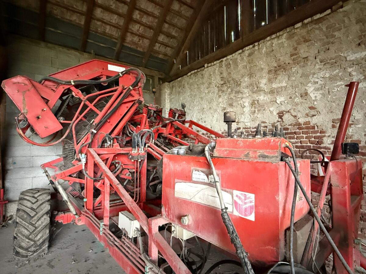 Dewulf Karottenmaschine 2