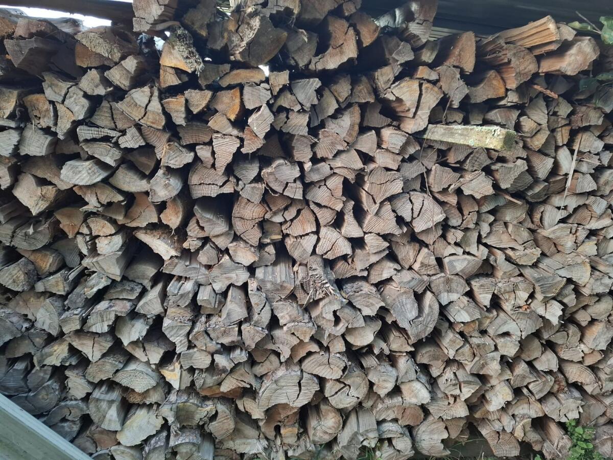 Brennholz 2