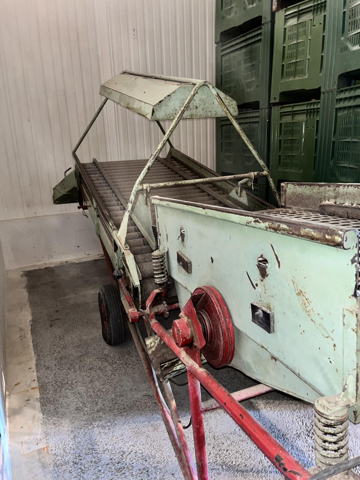 Kartoffel Sortiermaschine 1