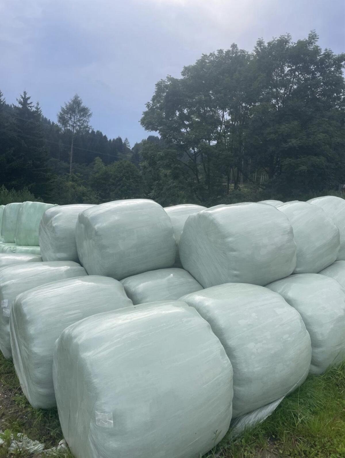 Bio Siloballen 2