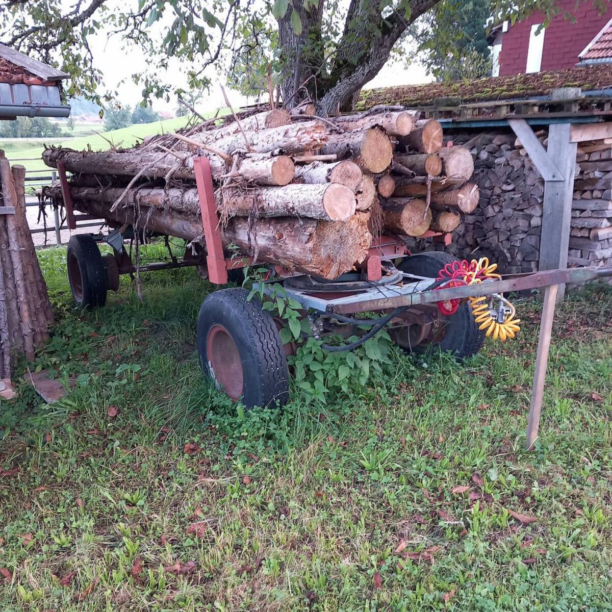 Anhänger, Holzwagen 2