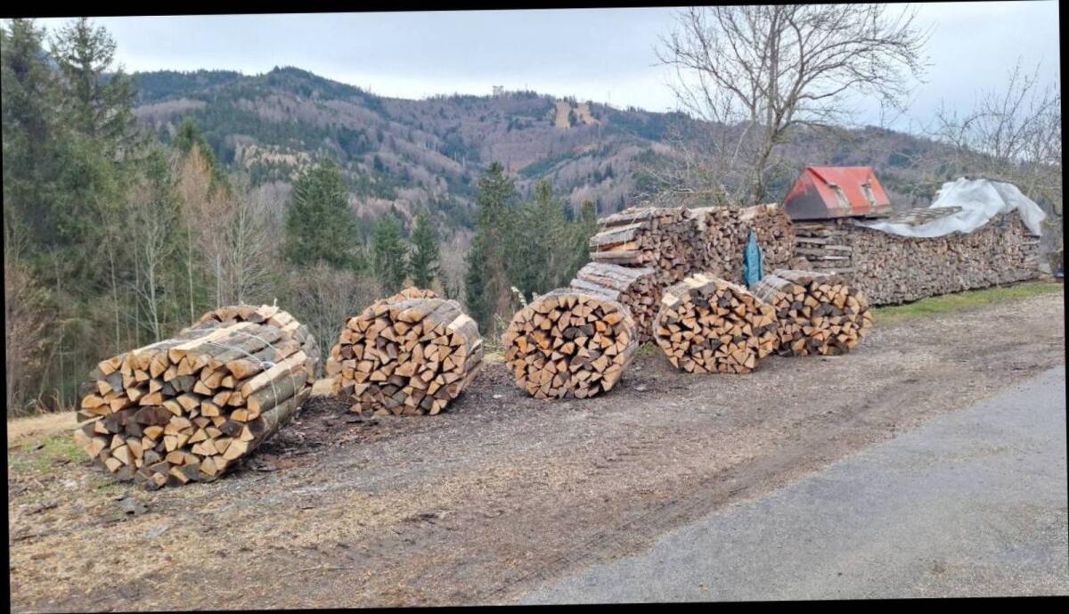 Brennholz 1