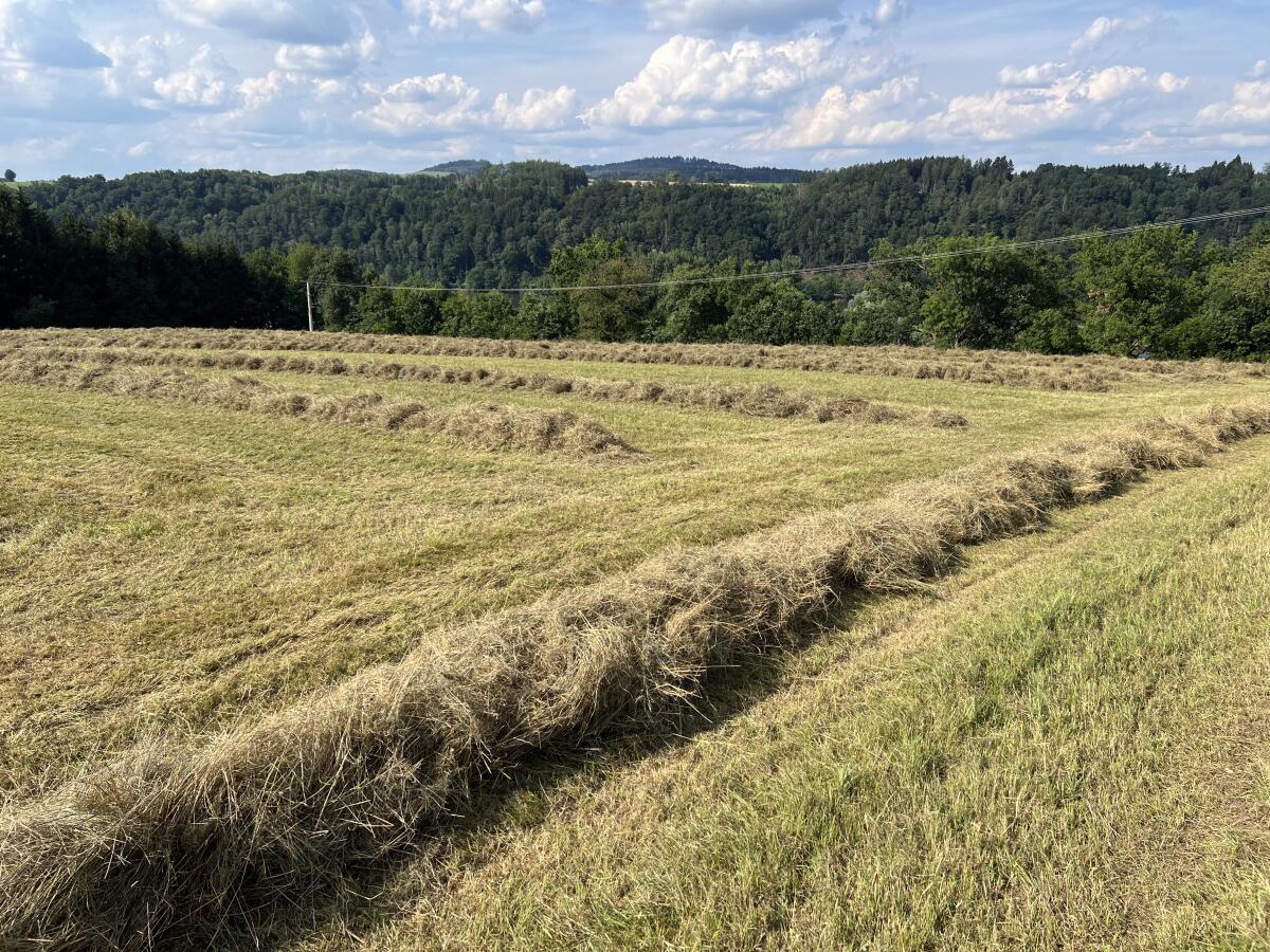 Heu Heuballen Bio Rundballen 1. Schnitt 2025 1