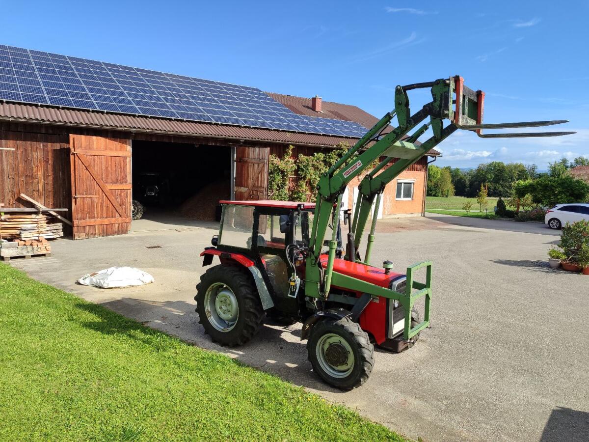Traktor mit Frontlader Massey Ferguson 254 2