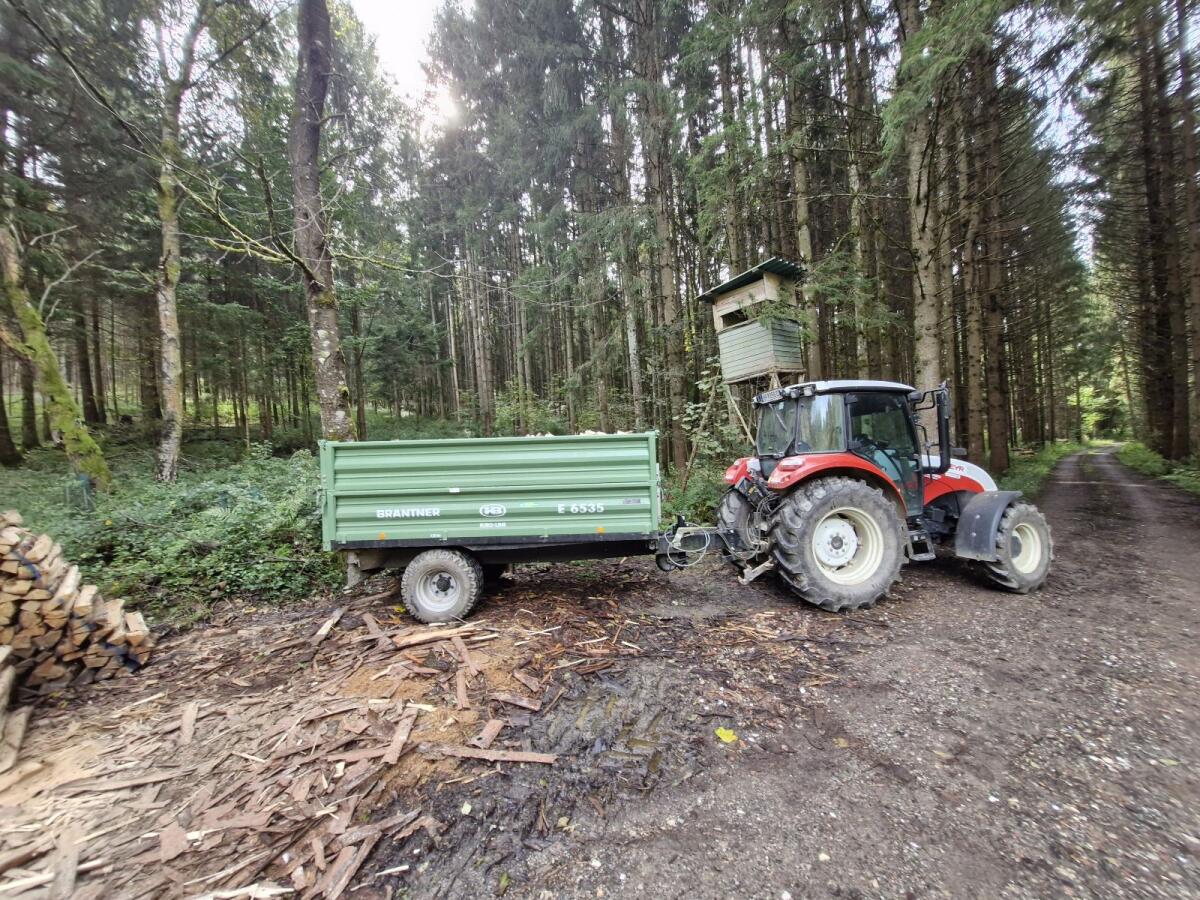 Verkaufe Brennholz 2