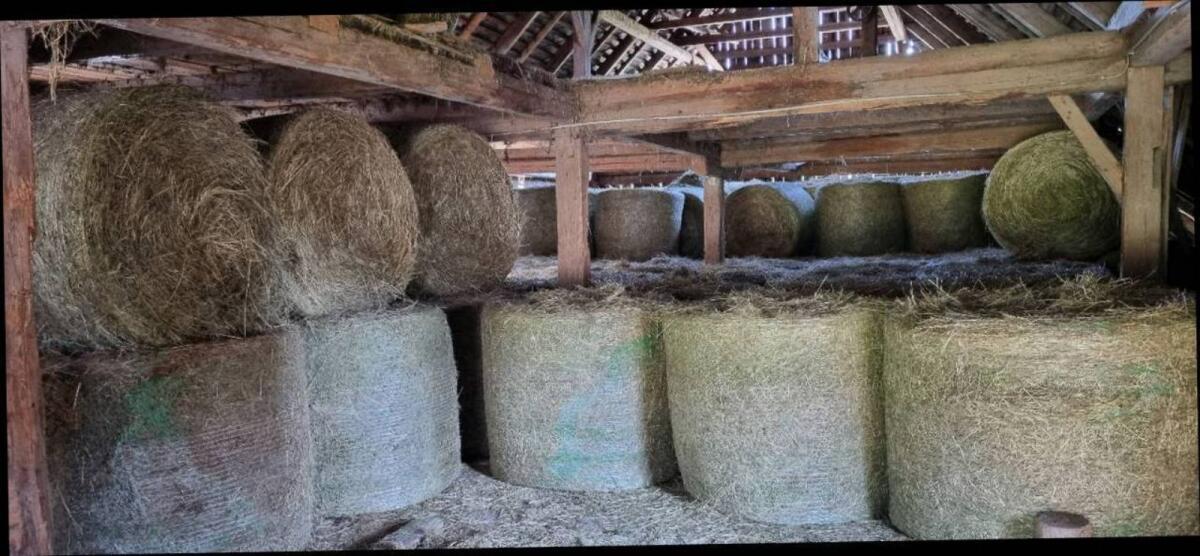 Heuballen und Grummetballen aus Naturschutzflächen 2
